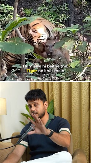 A tiger hunted a deer right in front of us! 🐅🦌 #Tiger #Wildlife #ytshorts