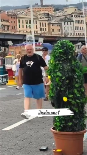 Just an ordinary shrub going about its business 🌿😄 #Bushman #amazing #joke #prank #Jungle
