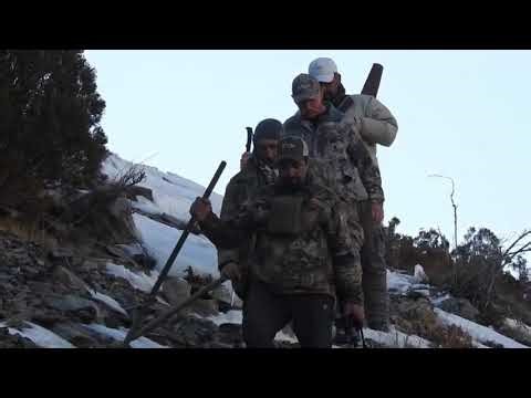 Ibex Trophy Size Hunting in Batura Hussaini Gojal Hunza #gilgitbaltistan #trophy #ibex #hunting