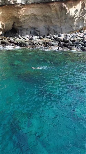 🚁 Drone + Crystal Clear Water = Paradise! ⭐ #travel #paradise #snorkeling #subscribe