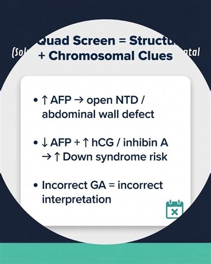 Pregnancy Labs Simplified. #biochemistry #medicalbiochemistry #pregancy