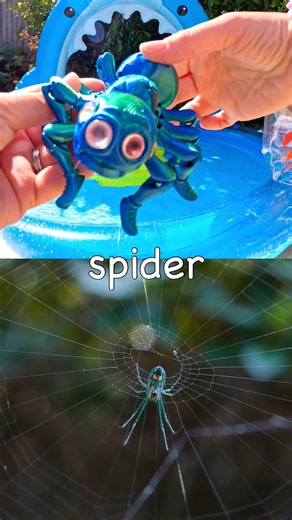 Kids Learn at the Shark Pool | Bug Insect Names: Spider Butterfly Scorpion Cicada Caterpillar