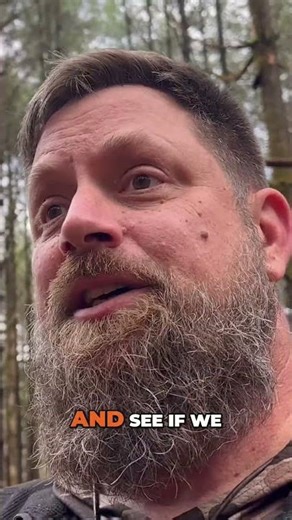 Browse Bed Survival Shelter in a Wet Pine Forest