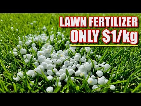Lawn Fertilizer for ONLY $1/kg – INSANE Results After 3 Days!