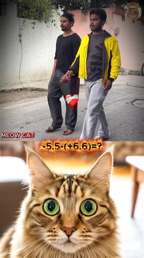 ABSOLUTE CINEMA😂 | #shorts #meowcat #trending #viral #funny