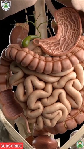 Your Gut Is Making Sounds Right Now!