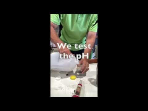 Having a problem growing a healthy garden in Perth