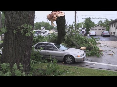 Video shows storm damage, smashed cars in Elgin