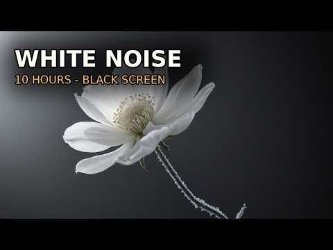 White Noise Black Screen 10 Hours | Sleep, Study & Focus | Dark Screen