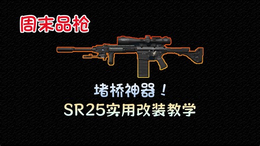 堵桥神器！SR25改装教程及改枪码【周末品枪】