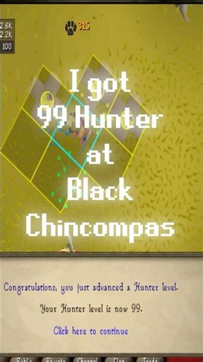 99 Hunter without Banking (38,208 Black Chinchompas #osrs #runescape #oldschoolrunescape