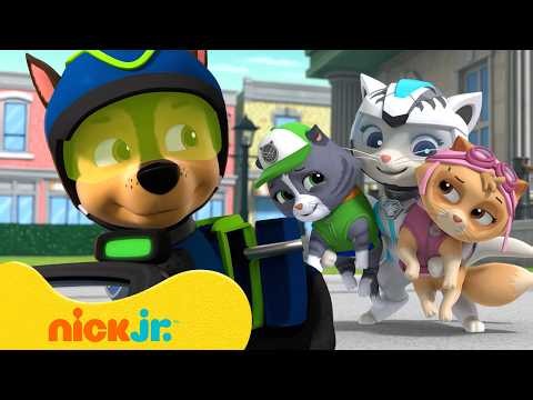 PAW Patrol Teams Up with the Cat Pack! | PAW Patrol | Nick Jr.