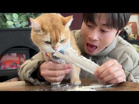 Experience the Thrill of Instant Big Cod Fillet Cooking Show