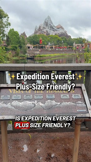 Is Expedition Everest Plus-Size Friendly?✨