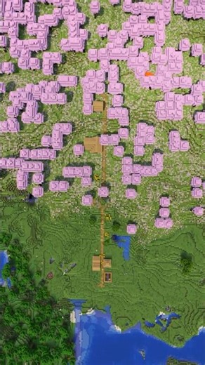Minecraft One Path Cherry Grove Village Seed!
