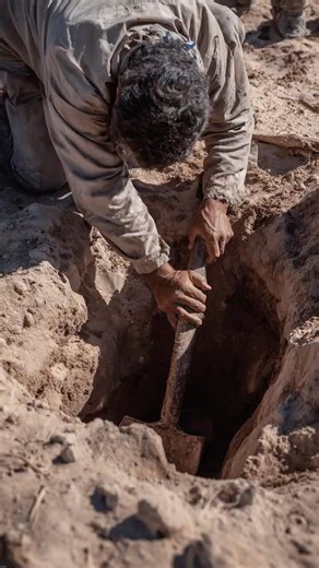 Scientists Investigate Object Found Perfectly Preserved in Desert