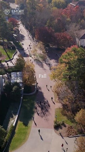 Seasons of #emoryuniversity