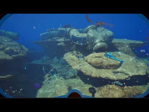 You Didn't Know You Needed: From Nostalgia to Deep-Sea Survival!