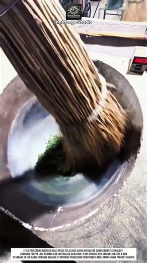 Processing Tea Leaves Using Rolling Machine With Automated Processing Technology