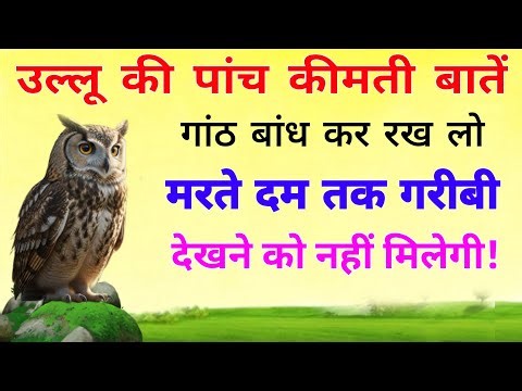 उल्लू की पांच कीमती बातें गांठ बांध कर रख लो, मरते दम तक गरीबी देखने को नहीं मिलेगी!