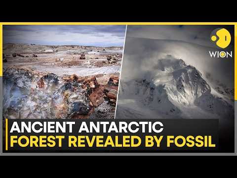 New Evidence Reveals Ancient Antarctica Was Warm & Green | WION