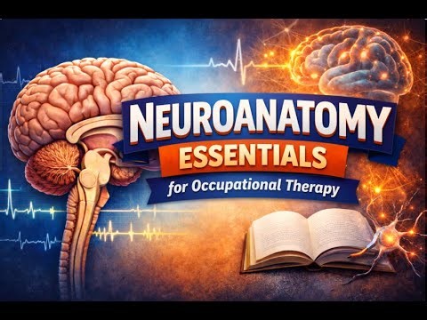 Neuroanatomy Essentials