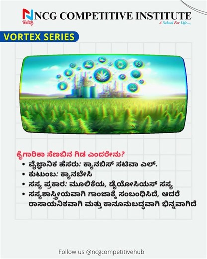 Industrial Hemp Explained | Why Himachal Legalised It? 🌿