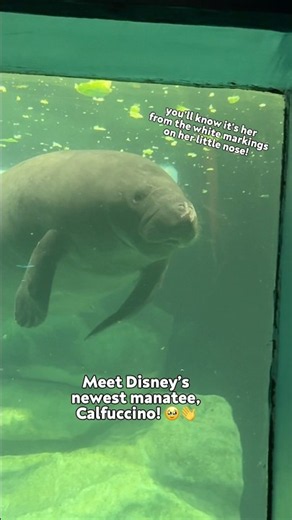 A new resident in EPCOT!
