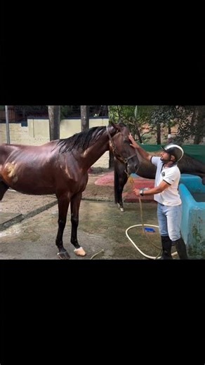 “Power in the ride, respect in the care