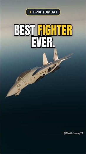 F-14 Tomcat: Best Fighter Jet in the World. Change My Mind.