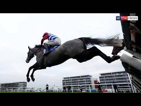 Paul Nicholls' next star? | NO DRAMA THIS END wins the Coral Challow Novices' Hurdle!