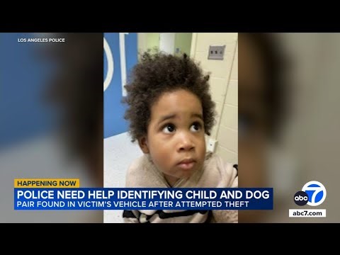 LAPD seeks help identifying young boy found in car with dog after attempted theft