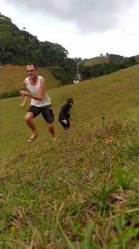 Wasp nest explosion — we had to run for our lives! 🐝💥😂