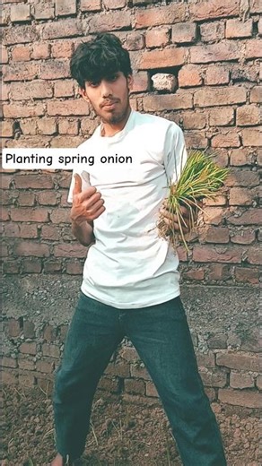 Growing spring onions at home #farming #minivlog #vlog #growathome #shorts #plants #agriculture