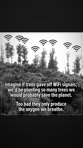 If Trees Had Wifi...