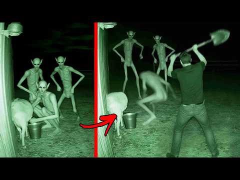 Top 10 Unexplained Creatures Caught Clearly on Camera