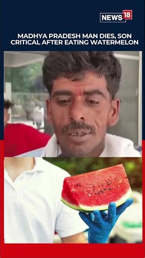 Madhya Pradesh Tragedy | Man Dies, Son Critical After Eating Watermelon | #Shorts | N18S