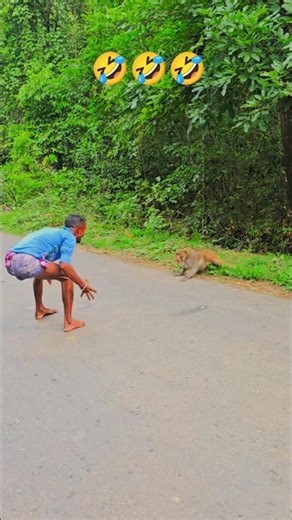 Part 22! Monkey Prank Gone Wild 😂 #prank #viral