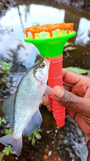 Fish Played The Flute Perfectly 🤯🐟