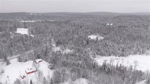 Drone captures fresh snowfall clinging to trees in Vermont