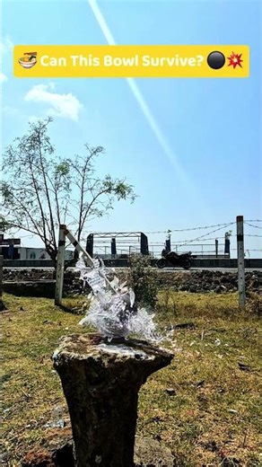 🍜 Can This Bowl Survive? ⚫️💥