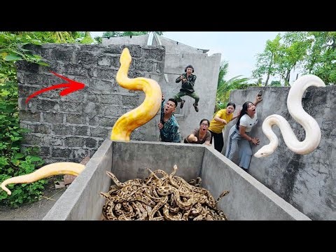 Brave soldiers used high-tech snake detectors to locate the giant python's nest.