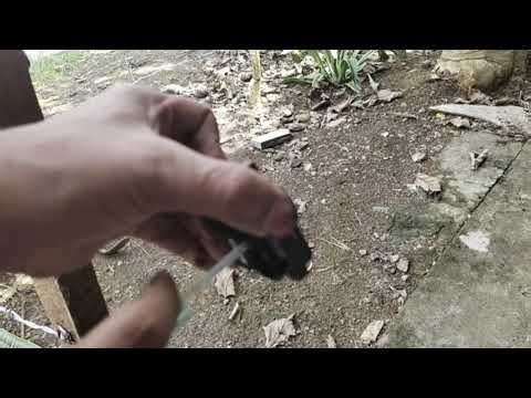 Epson L6190 Output Problem| No Colored Output| Only Black