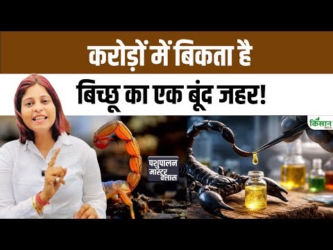 Scorpion Venom Farming: जिससे लोग डरते थे वही बना करोड़ों की कमाई का जरिया, बिच्छू के जहर की कहानी