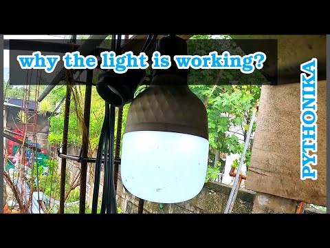 This Light Bulb Works With NO Wires?! | Physics Explains the Impossible