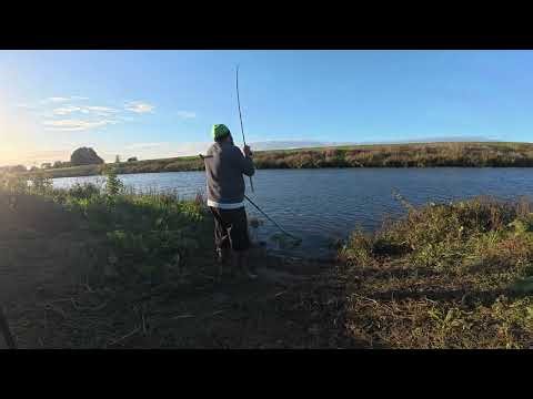 Collingham A A Day Ticket Water Barbel Fishing Day 2