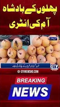 Good News For People | King of Fruits Entry in Markets | #GTV #mango