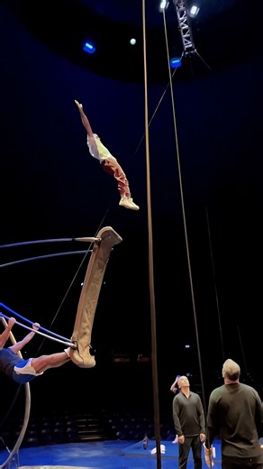 Mind-Blowing Swing Flip! 🤯 #circus #stunt