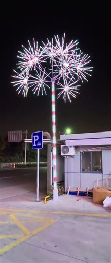 Firework Tree.#tree #trees #fireworks #firework #fireworkshow #outdoorlighting #lightingdesign