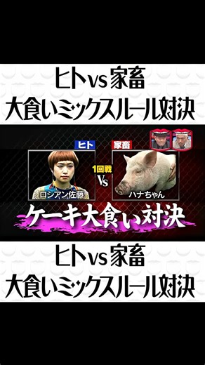 #水曜日のダウンタウン #ドッキリ #リアクション #お笑い #バラエティ #浜田雅功 #芸人 #衝撃展開 #松本人志 #バラエテ